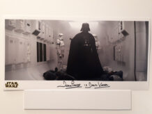 Dave Prowse wide (8x16) D