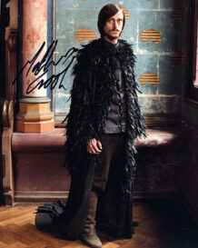 Mackenzie Crook 8
