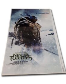 Teenage Mutant Ninja Turtles Leonardo Proof