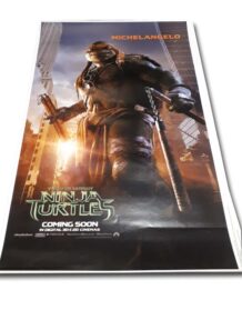 Teenage Mutant Ninja Turtles Michelangelo Proof