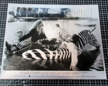 The Witches of Eastwick original press photo E