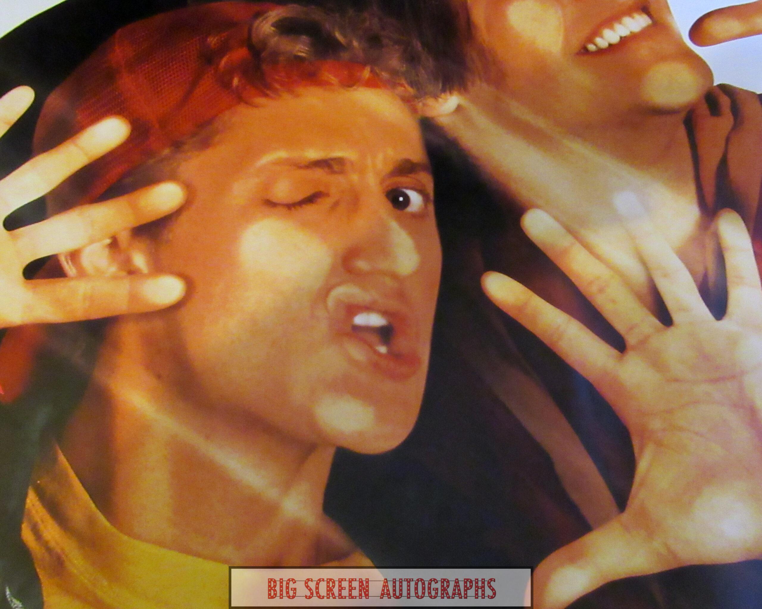 Bill & Ted's Bogus Journey UK quad poster - Image 2