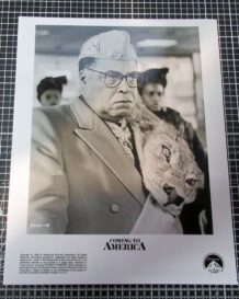 Coming to America original photo 21