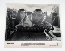 Labyrinth 8x10 photo 6