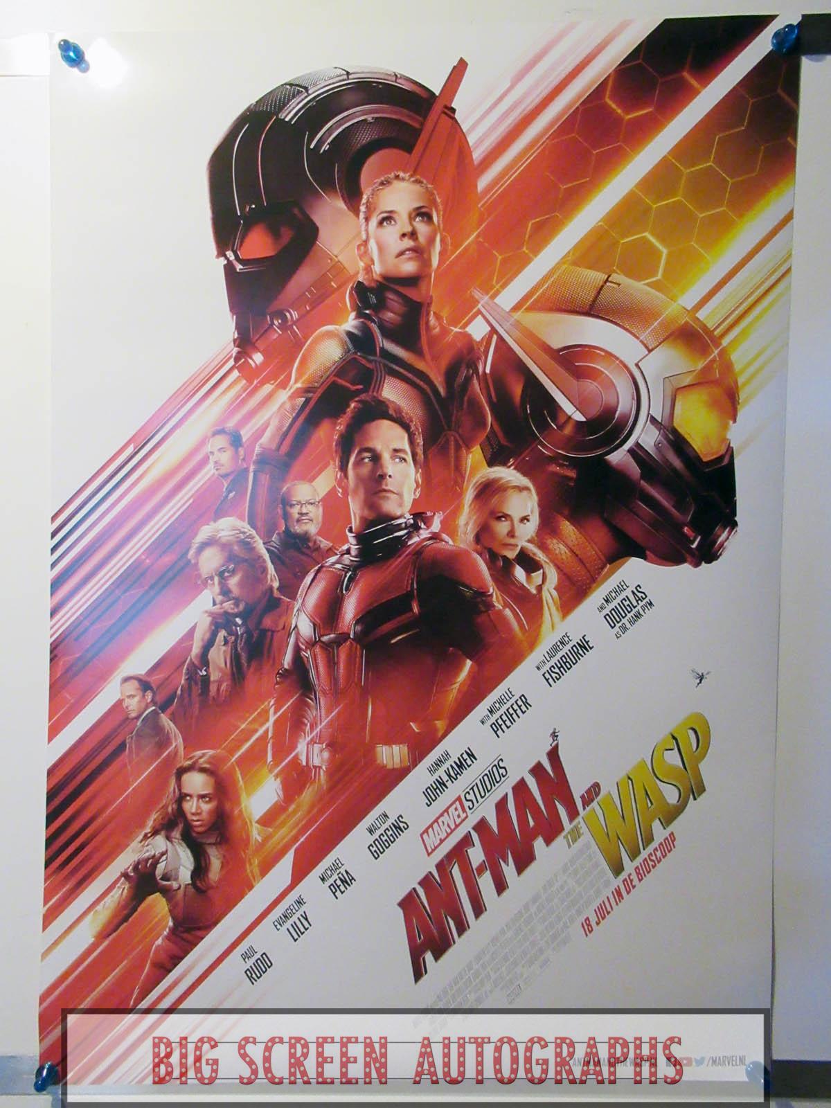 Ant-Man and the Wasp one sheet poster