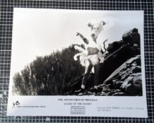 Priscilla queen of the Desert original press photo C