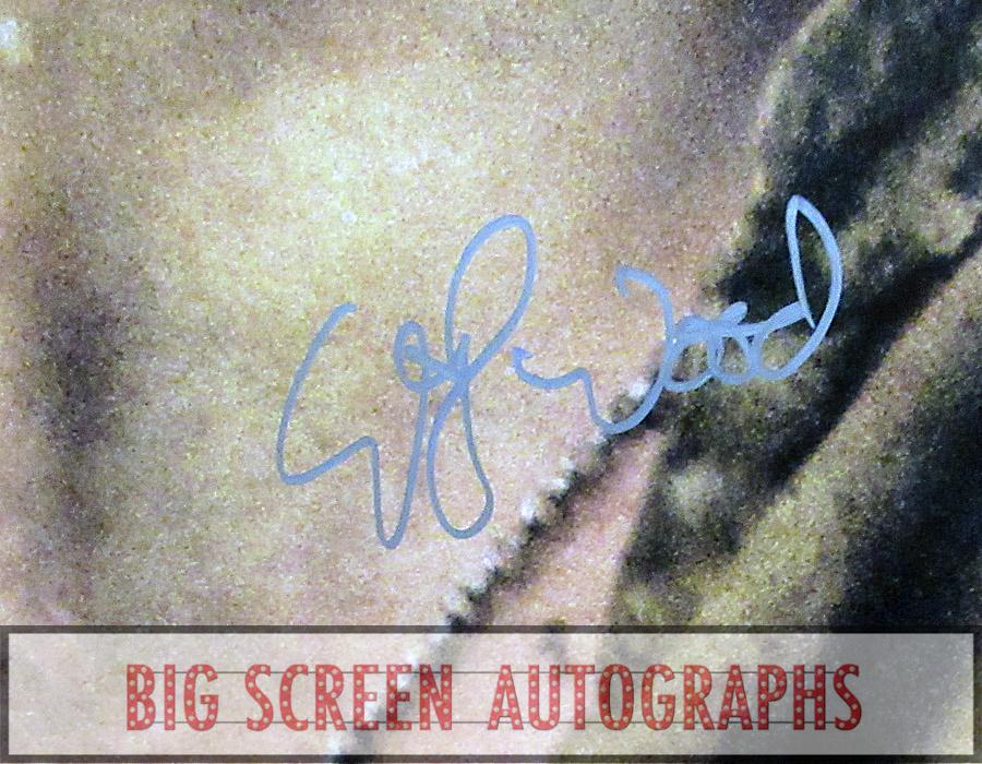 Lord of the Rings signed one sheet poster - Image 2