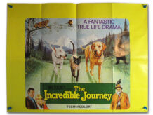The Incredible Journey quad poster
