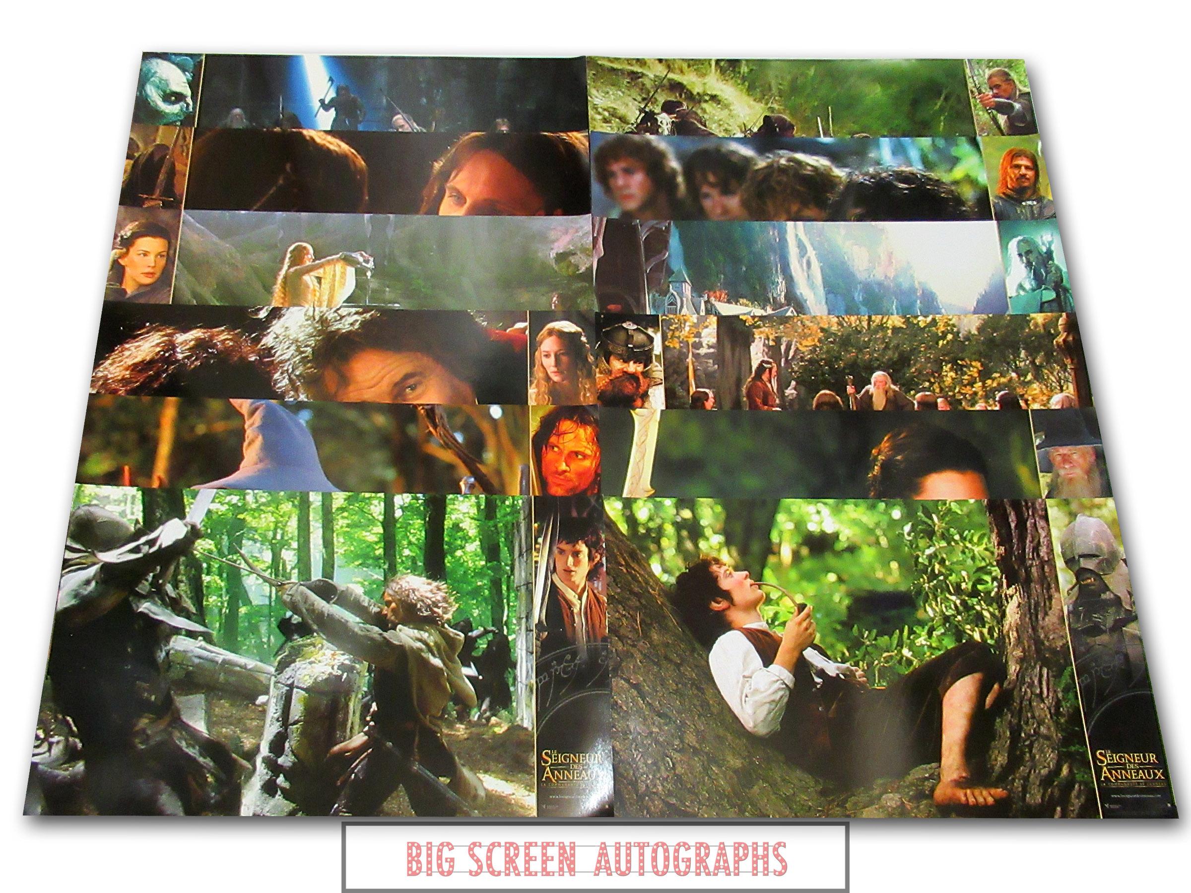 Lord of the Rings French lobby card set
