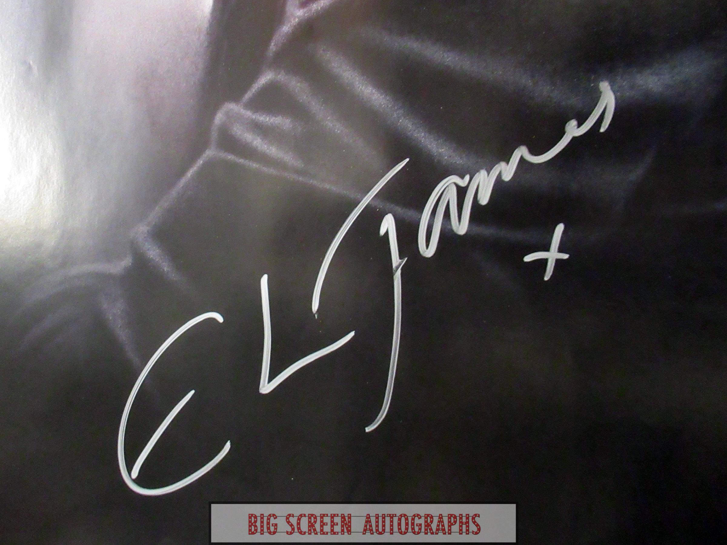 Fifty Shades Of Grey signed by 4 Quad poster - Image 2