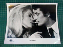La Chamade / Heartbeat publicity photo A