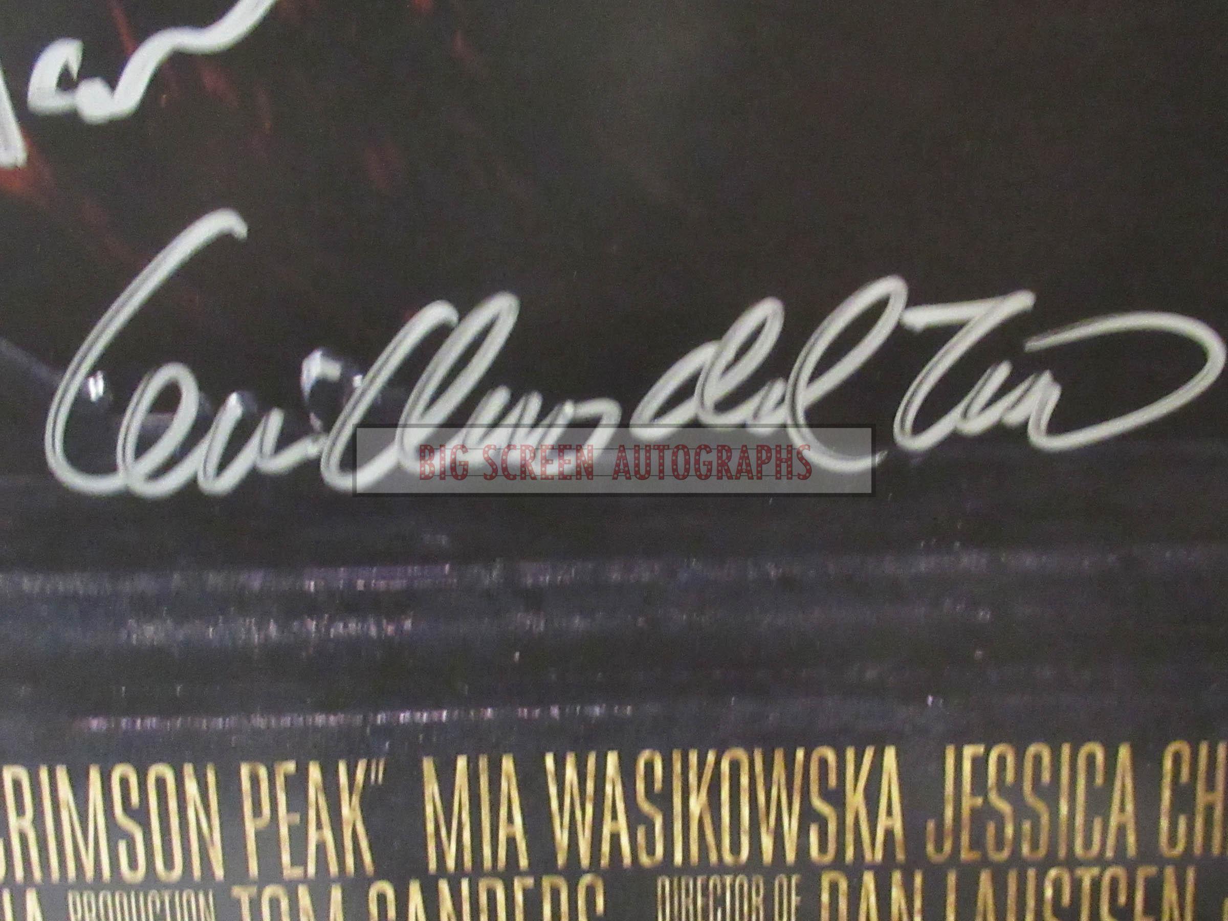 Crimson Peak signed one sheet - Image 2