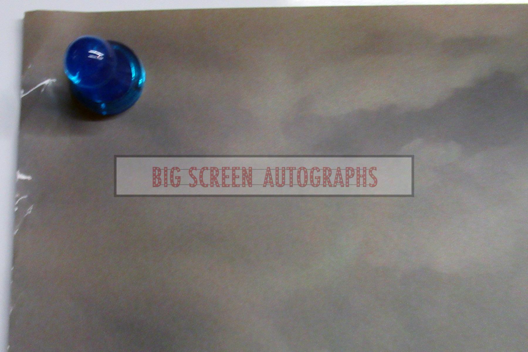 Beast signed one sheet poster - Image 3