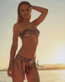 Vogue Williams