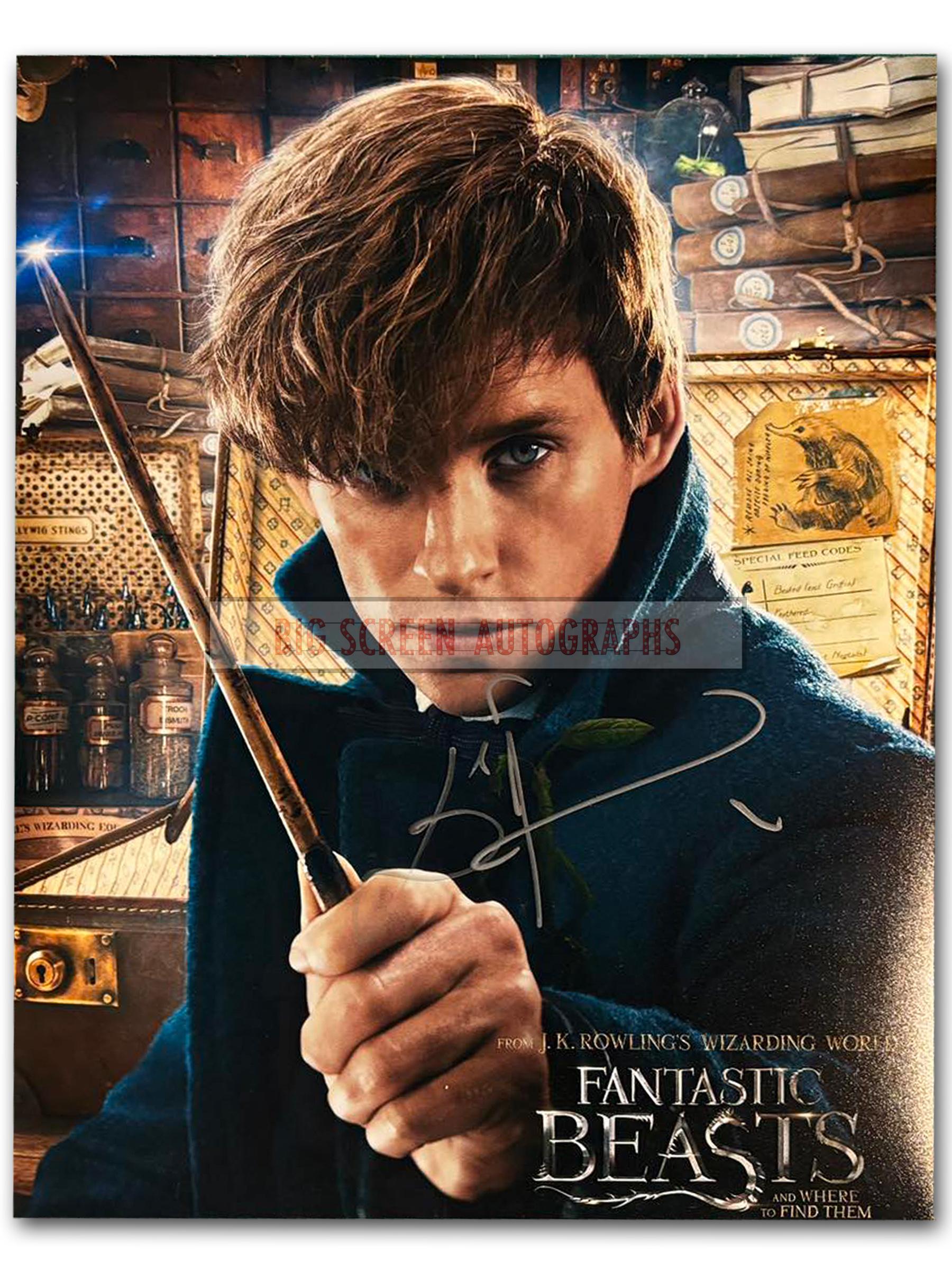 Eddie Redmayne signed 11x14 inch