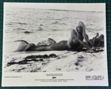 Splash publicity photo D