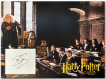 Warwick Davis signed display D