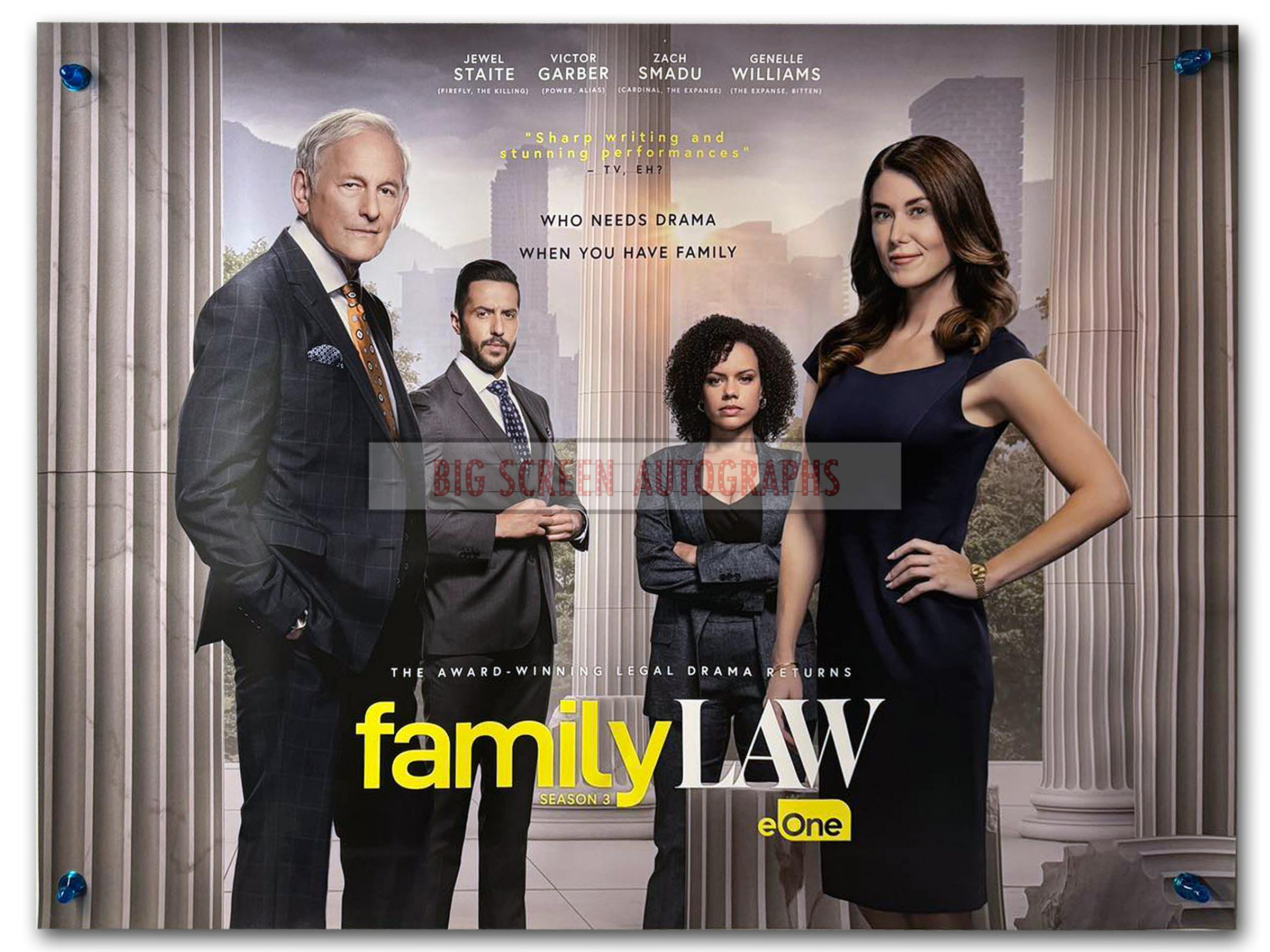 Family Law TV quad poster