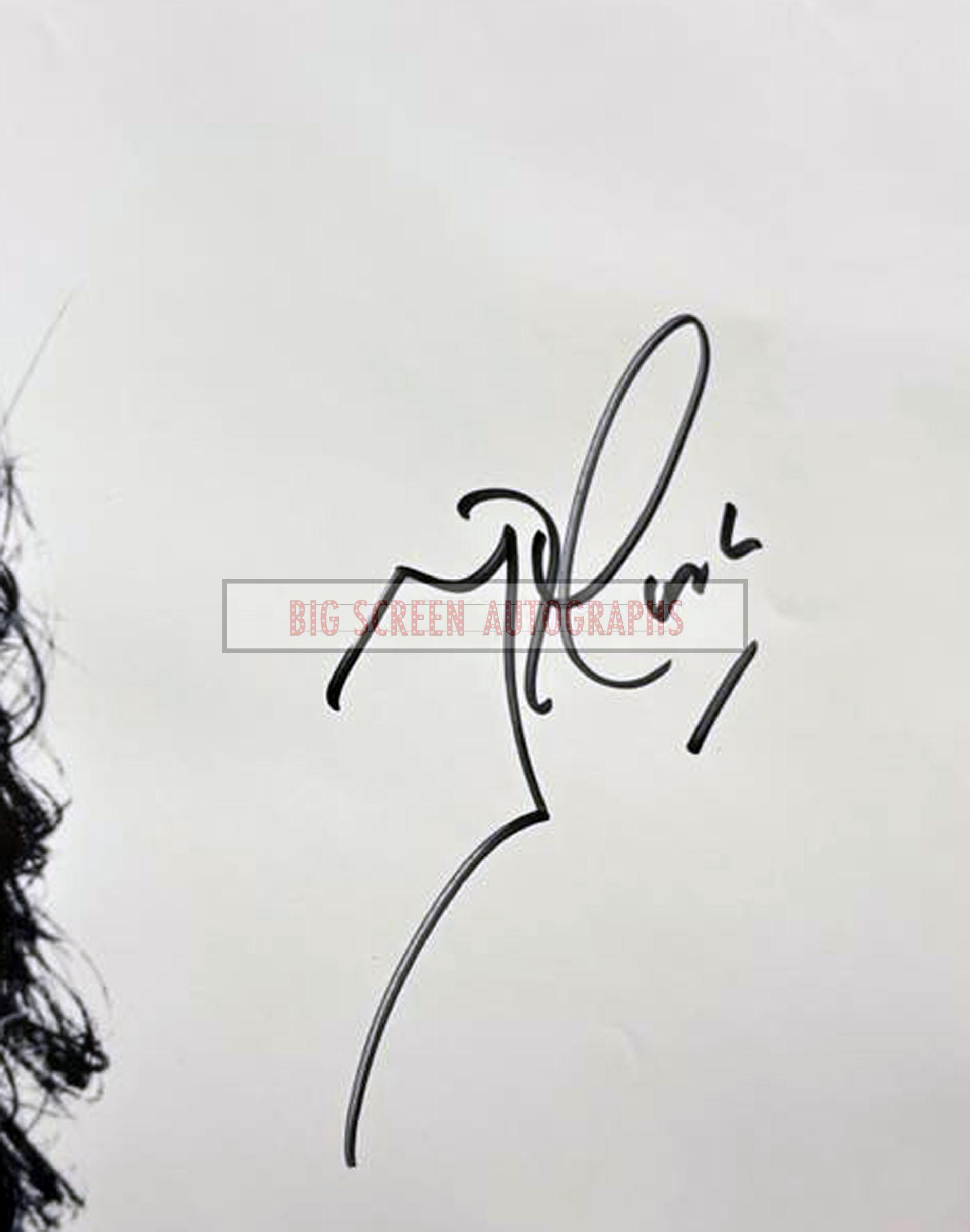 The Theory Of Everything signed one sheet poster - Image 2