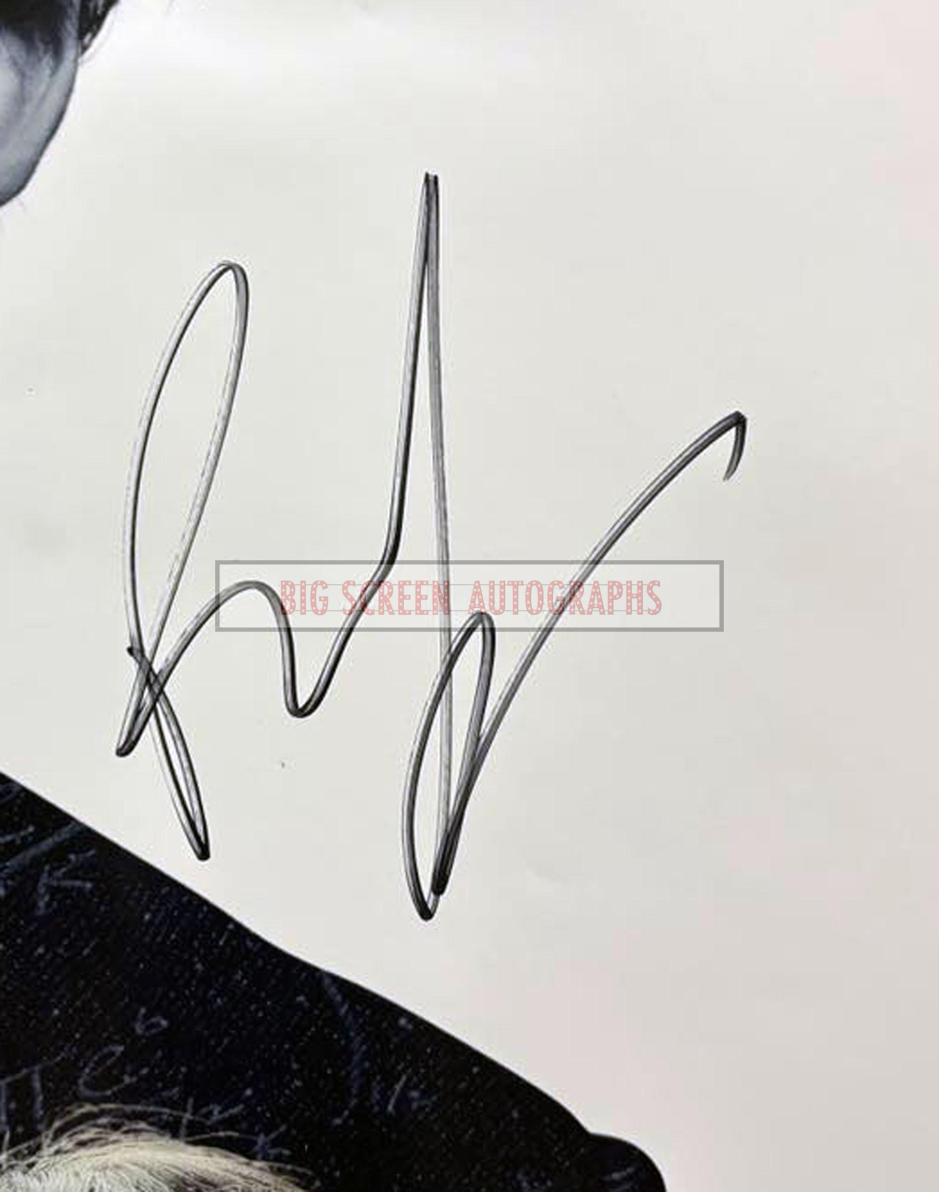 The Theory Of Everything signed one sheet poster - Image 4
