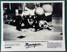 Mannequin publicity photo E