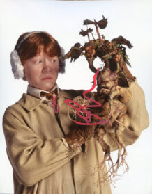 Rupert Grint 1A